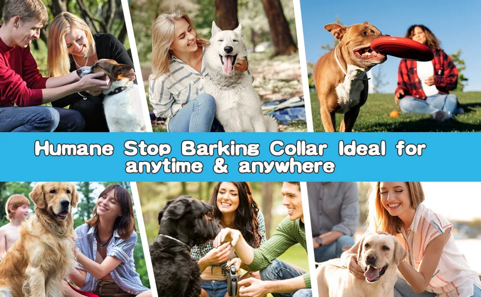Rovio© No Shock Anti Barking Collar
