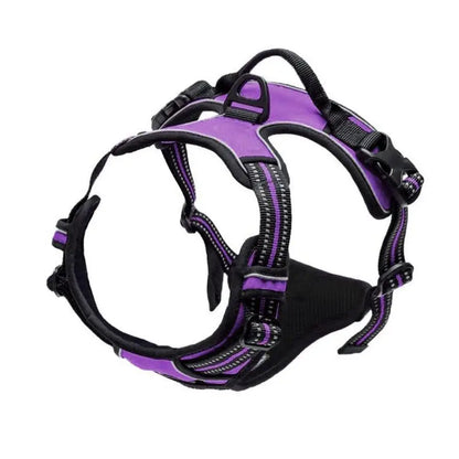 Rovio© No Pull Dog Harness