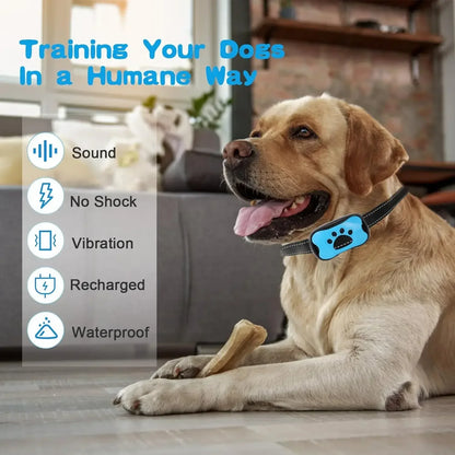 Rovio© No Shock Anti Barking Collar