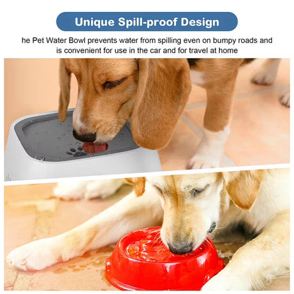 Rovio© Pet Water Fountain with Floating Plates| No Spill Dog Water Bowl