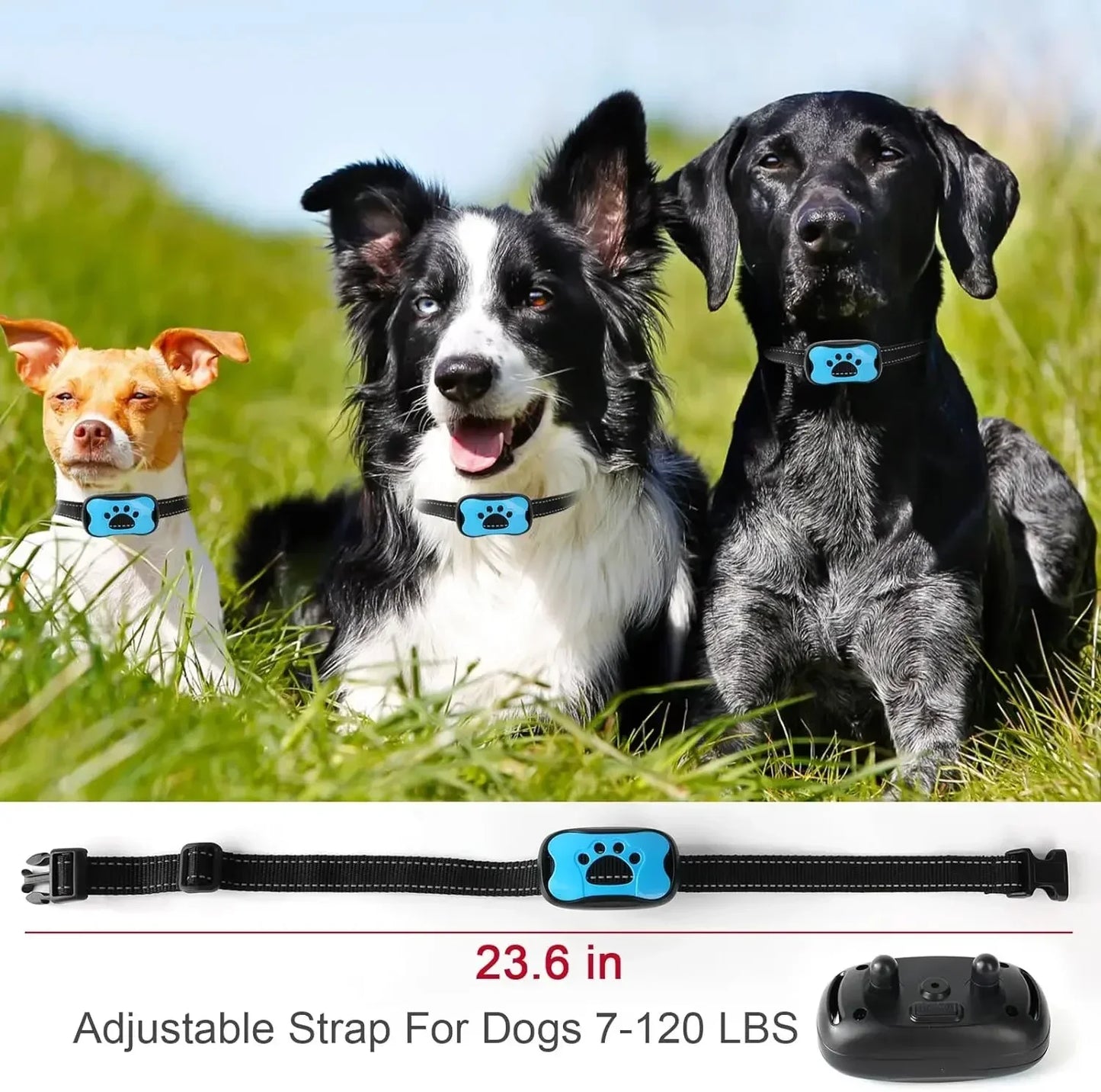 Rovio© No Shock Anti Barking Collar